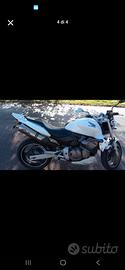 honda hornet