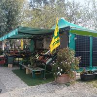 Chiosco