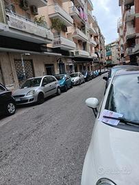 Genny adetto al volantinaggio