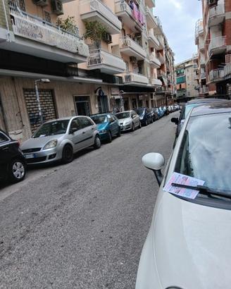 Genny adetto al volantinaggio