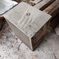 Formaggiera / Moscarola 