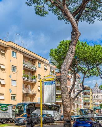 4 LOCALI A ROMA