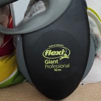 flexy  giant frosseional 10 m