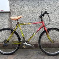 Bicicletta Mountain bike 26”