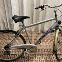 Bicicletta Tecnobike