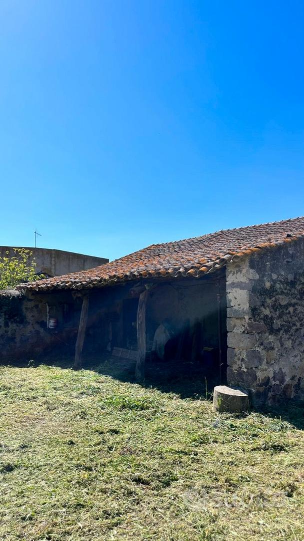 Tenuta Sarda Autentica con Potenziale di Sviluppo - Vista 4