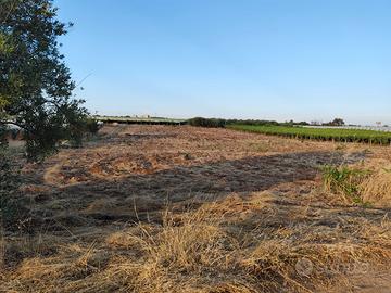 Terreno Agricolo