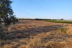 Terreno Agricolo