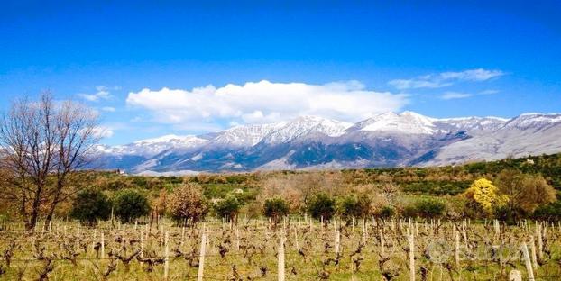 Terreno edicabile Vigne di Castrovillari