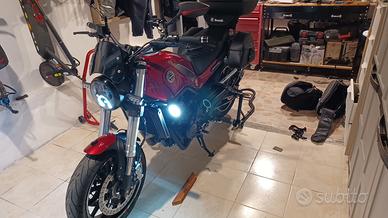 Benelli Leoncino 500- con diversi accessori