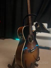 Seagull s12 / Acustica 12 corde -