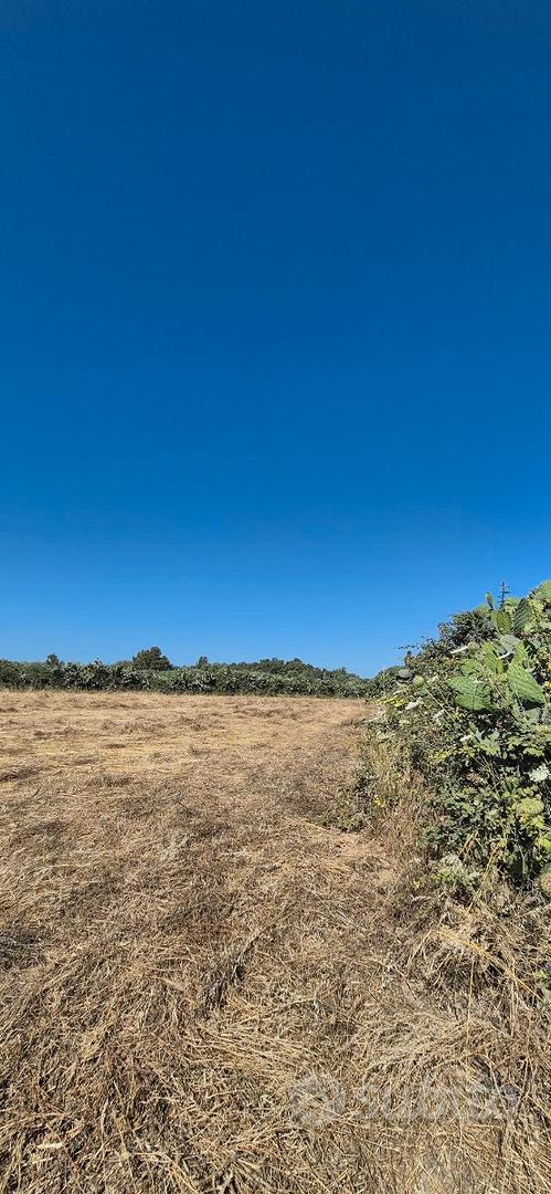 Terreno agricolo a Fenosu - Vista 4