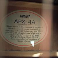 Yamaha Apx4a 