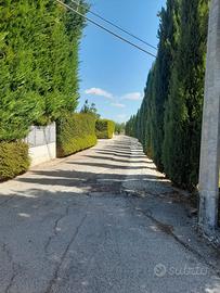 Terreno edificabile - Campobasso