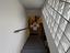 Immagine 28