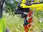 Immagine 10