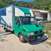 Iveco daily trasporto animali
