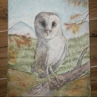  Quadro fatto a mano, con barbagianni 