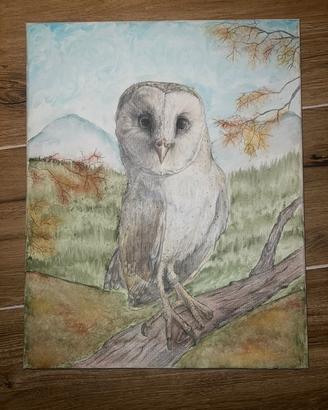  Quadro fatto a mano, con barbagianni 