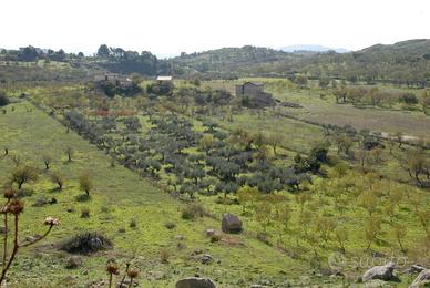 Terreno in contrada Grotticelle