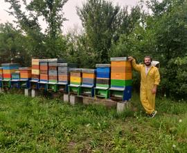 Piccolo podere agricolo da acquistare