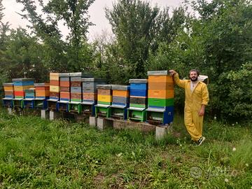 Piccolo podere agricolo da acquistare