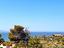 Immagine 23