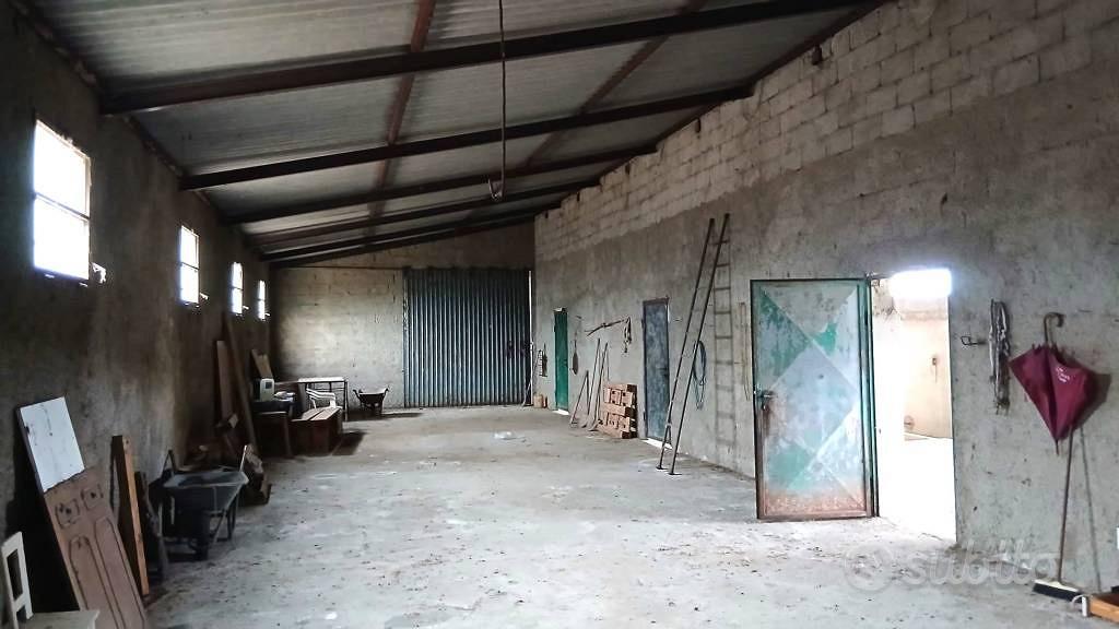 Terreno di 240000 m² a Monti - Vista 4
