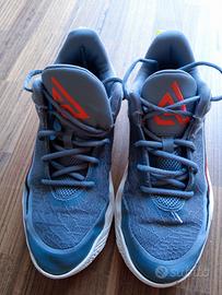NIKE DA BASKET GIANNIS IMMORTALITY 4