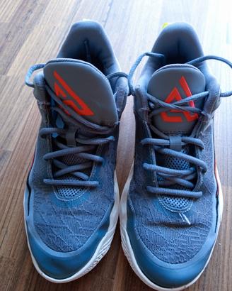 NIKE DA BASKET GIANNIS IMMORTALITY 4