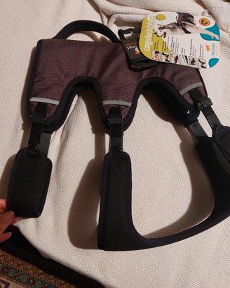 Pettorina tipo balto - cani