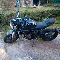 Voge Trofeo 300 - 2022