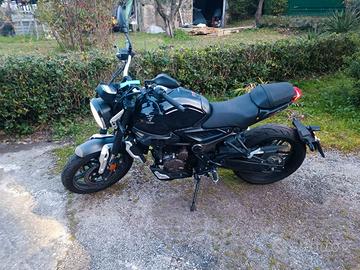 Voge Trofeo 300 - 2022