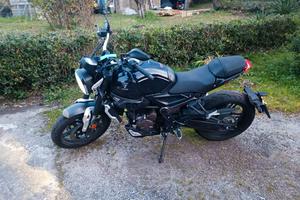 Voge Trofeo 300 - 2022