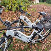 e-bike bici elettrica 