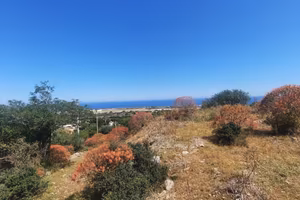 TERRENO CINISI