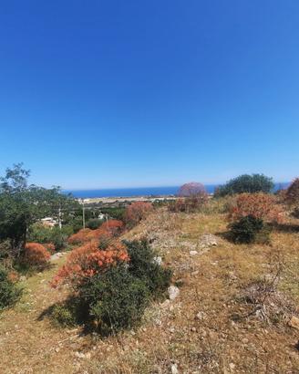 TERRENO CINISI