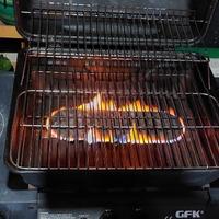 Barbecue a gas