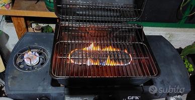 Barbecue a gas