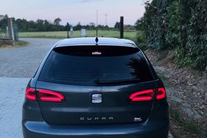 Seat ibiza cupra 6l
