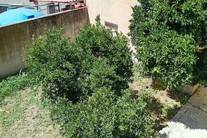 Semi indipendente in centro città