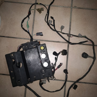 Treccia/Cablaggio elettrico complet jhonson 70 cv