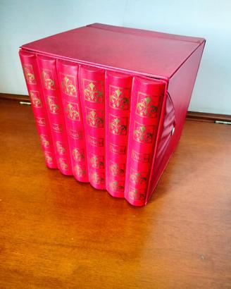 Raccoglitore porta dischi 45 giri vintage