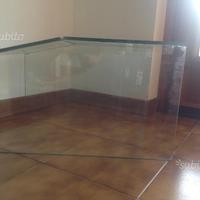 Zona emersa tartarughe d'acqua