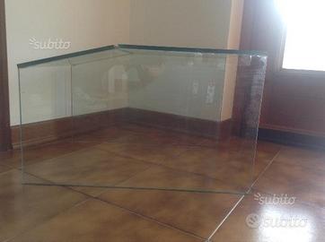 Zona emersa tartarughe d'acqua