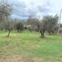 Terreno agricolo
