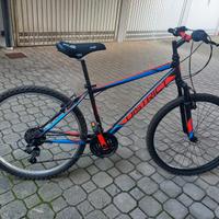 Bicicletta MTB