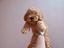 Immagine 9