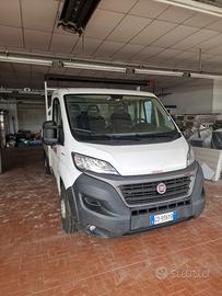 Fiat ducato cassone fisso 2021