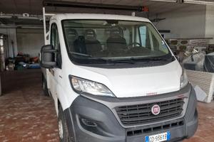 Fiat ducato cassone fisso 2021